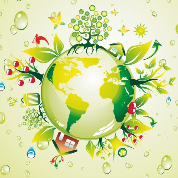 Подведены итоги муниципального этапа всероссийского детского экологического форума &laquo;Зеленая планета 2023&raquo;.